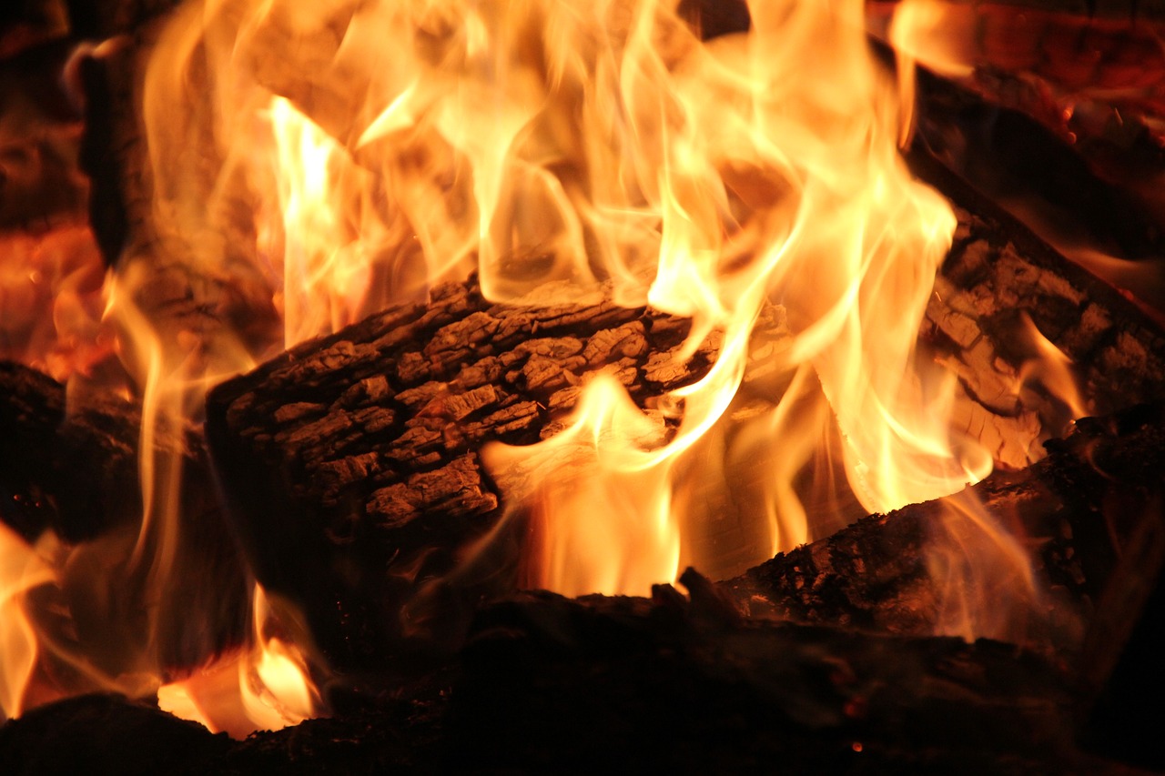 Professional Fireplace Cleaning Services In Lincoln Park Michigan